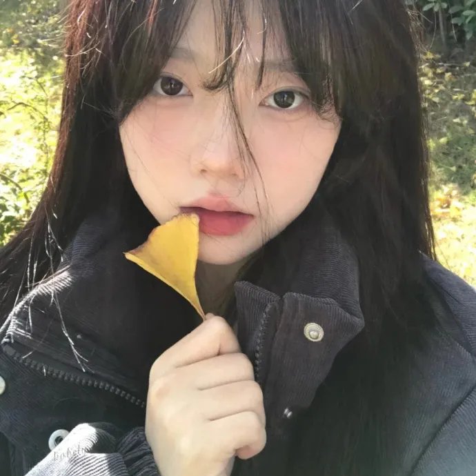 菜英文没在怕